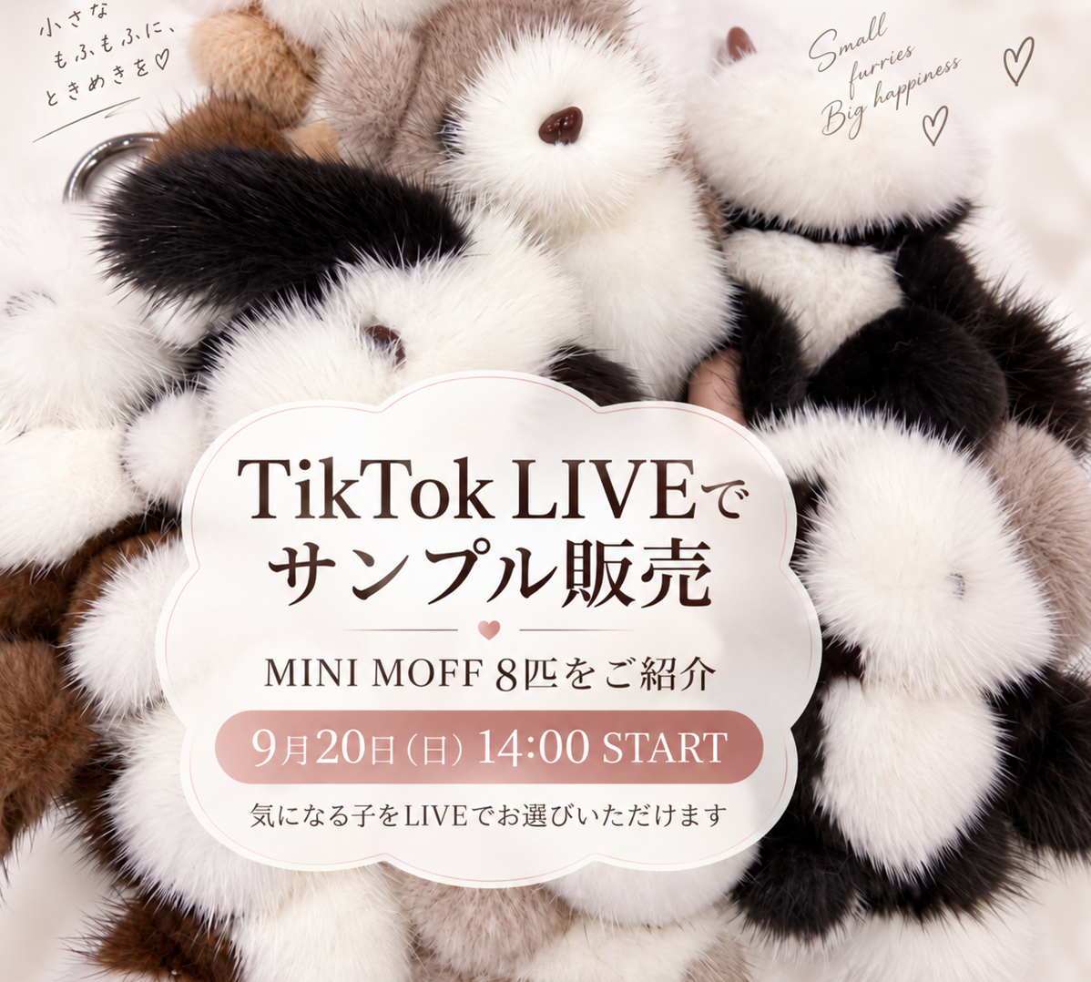 moff closet・TikTok LIVEはじめます！