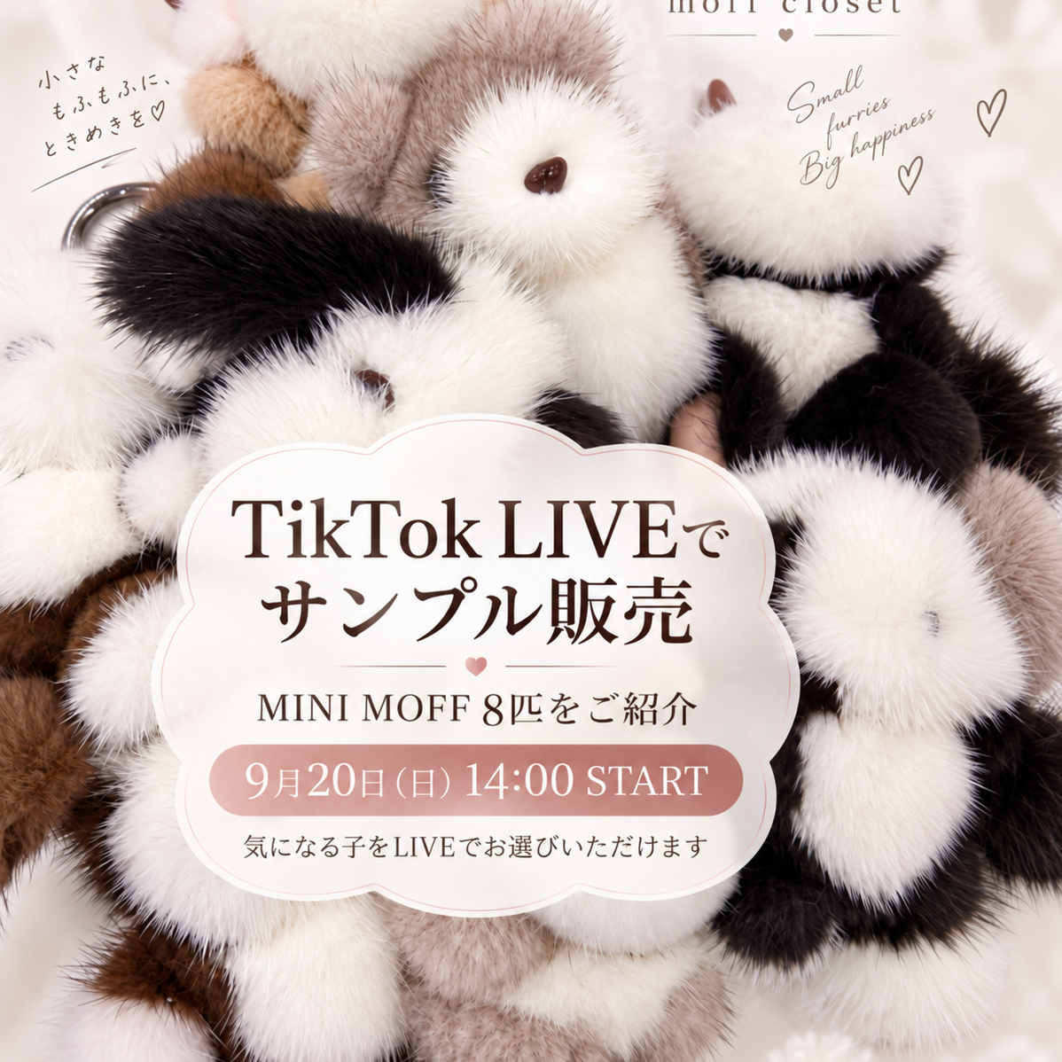 moff closet・TikTok LIVEはじめます！