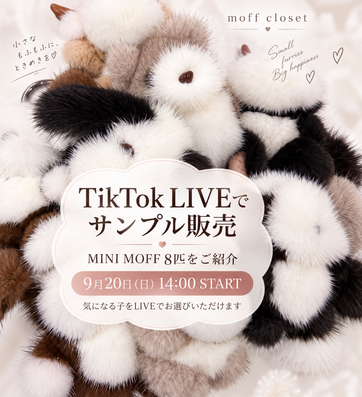 moff closet・TikTok LIVEはじめます！