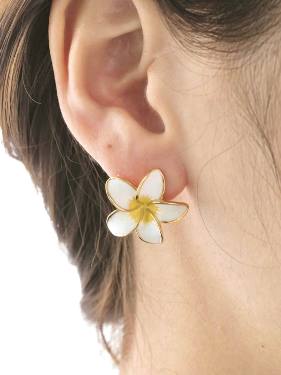 A pierced Earring