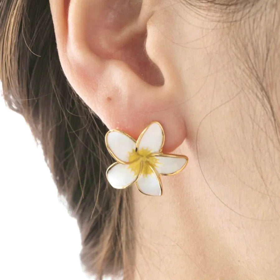 A pierced Earring