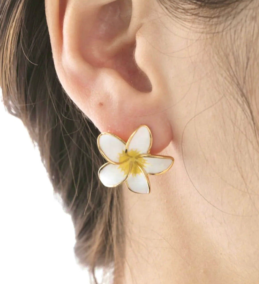A pierced Earring
