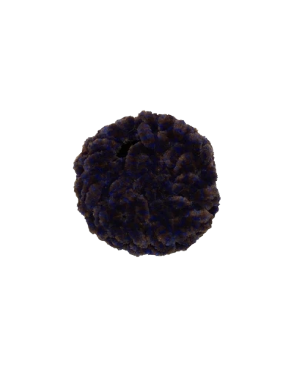 Beret SS mixed violet