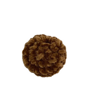 Beret SS Mocha Brown
