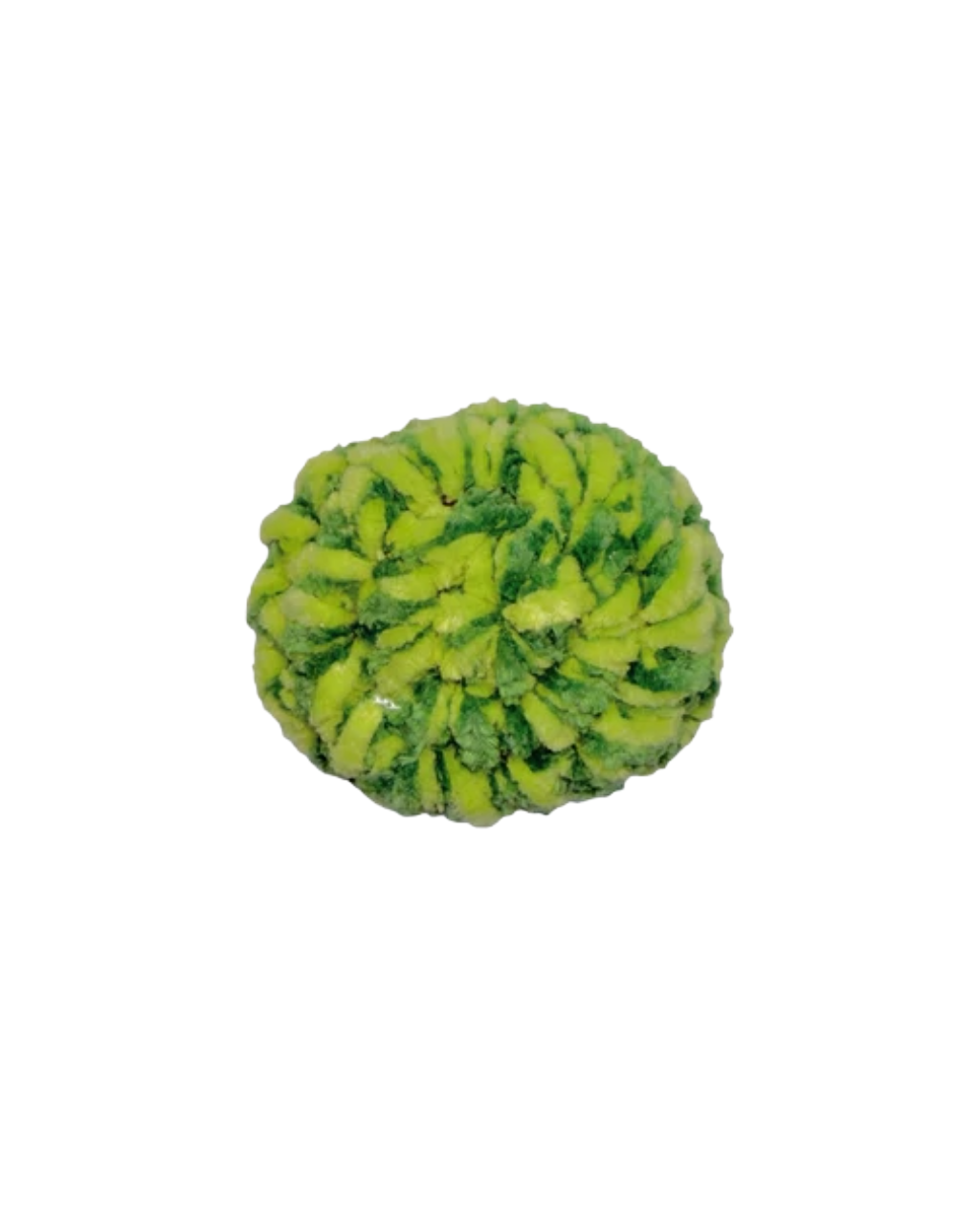 4562386233466.png