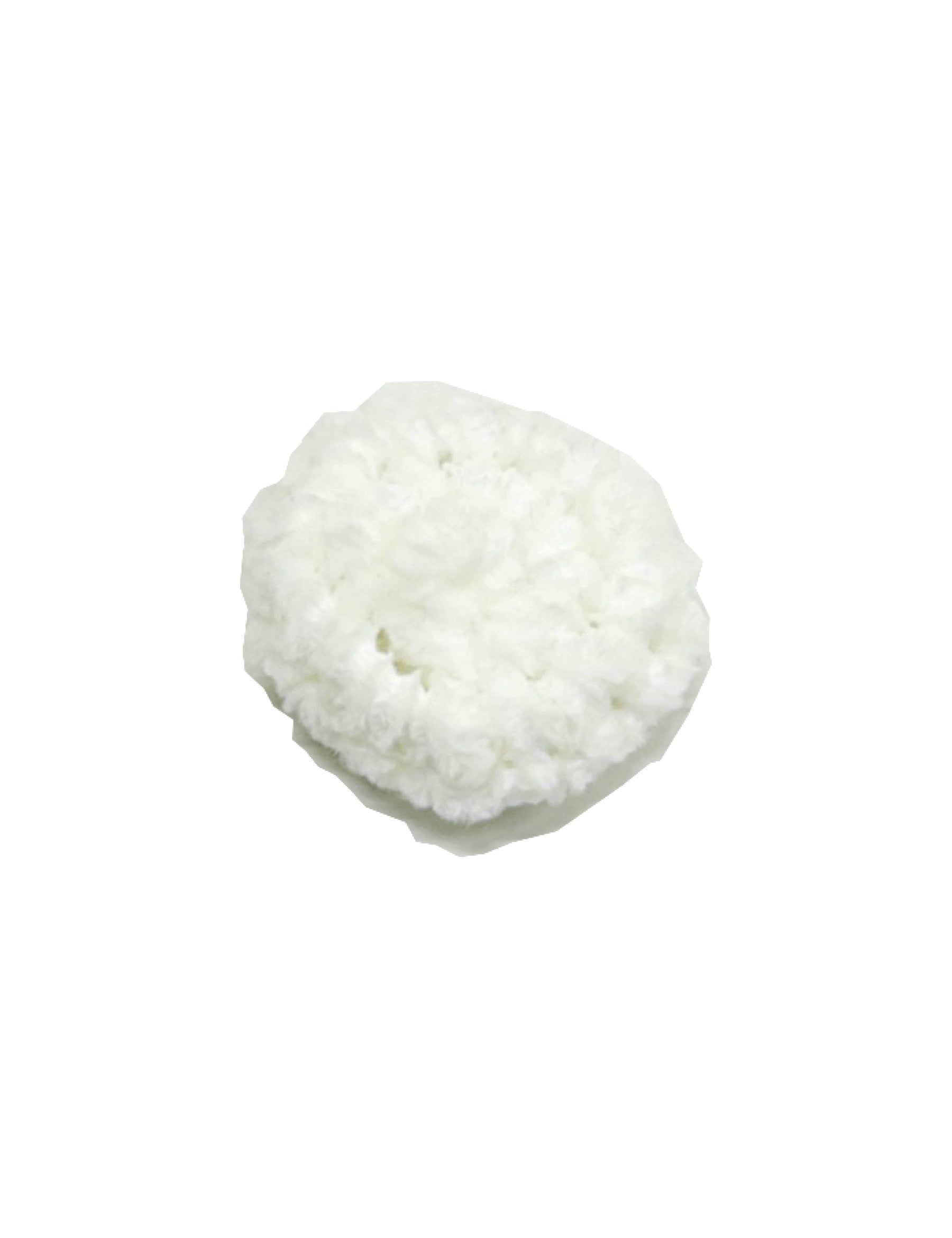 Bere2026-SS-size-White.jpg
