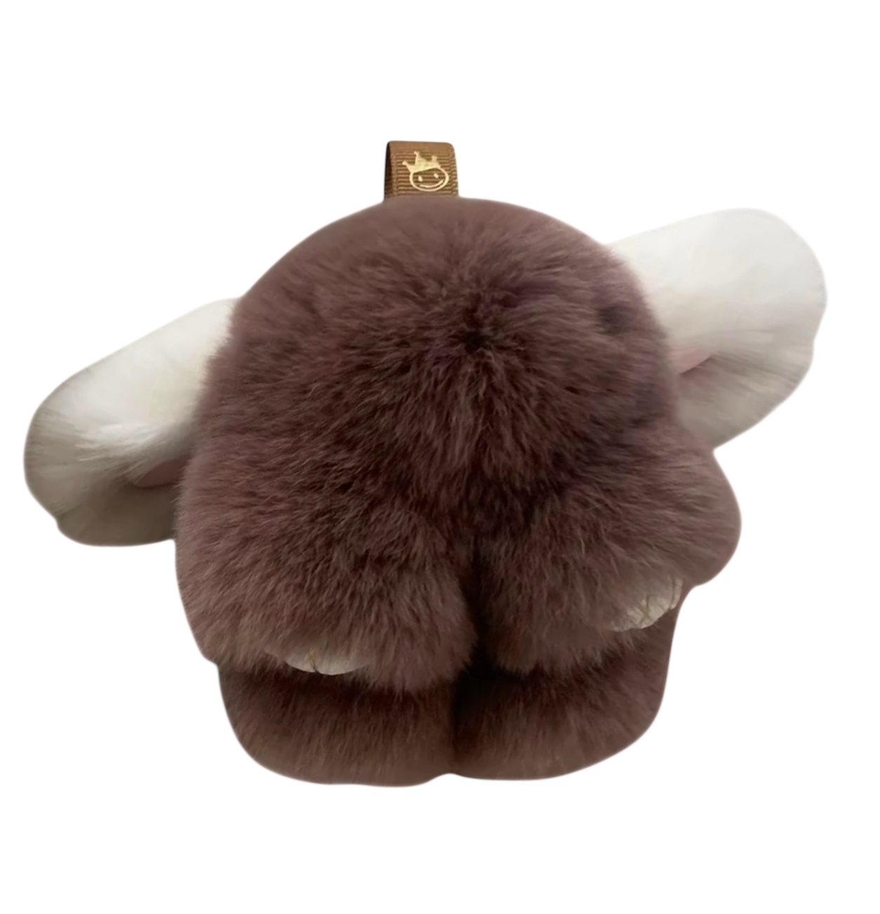 Photoroom_20250611_121126.png