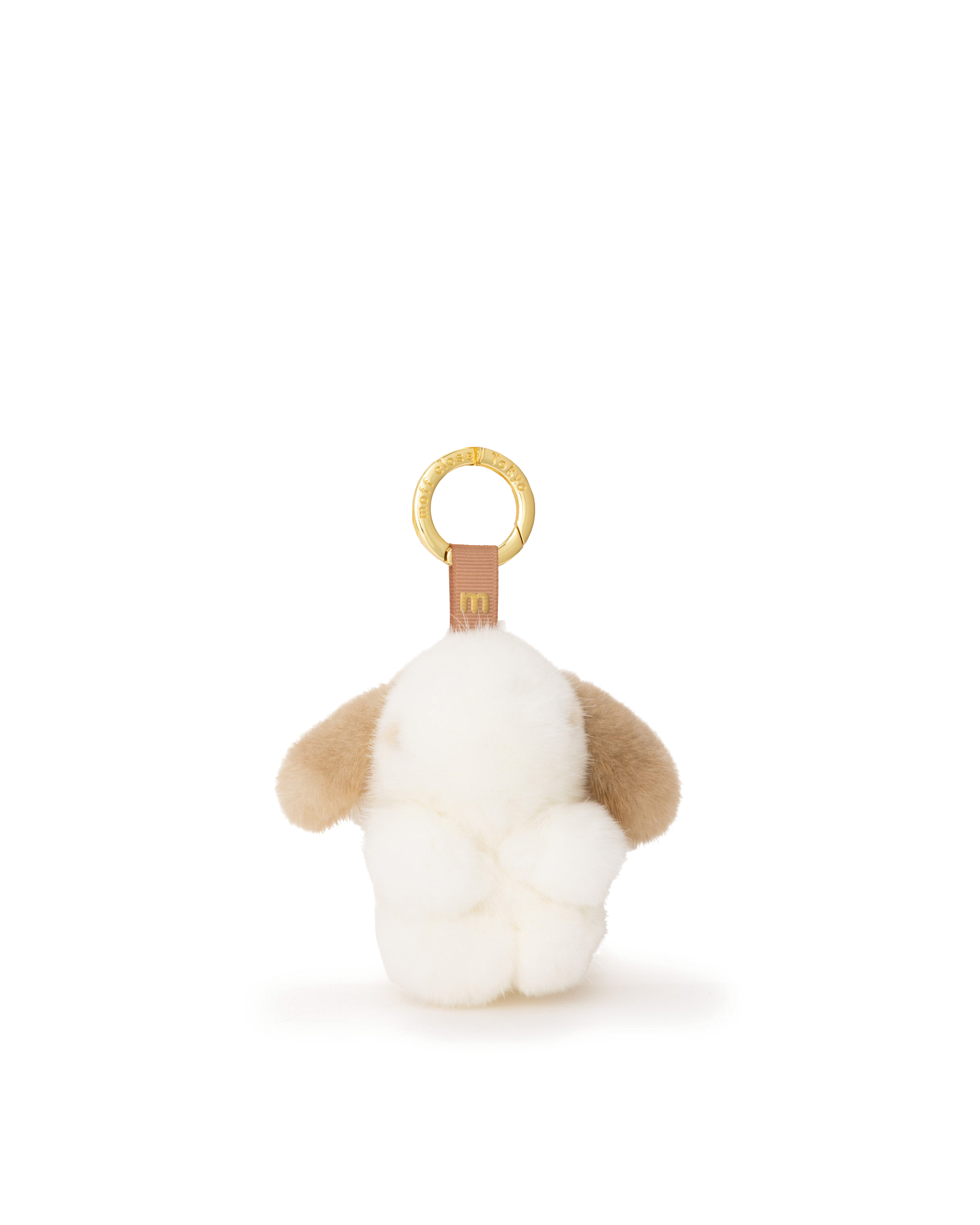 ssbefor.png