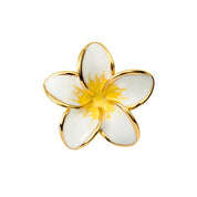 Plumeria S YG White Yellow Jewel Pins